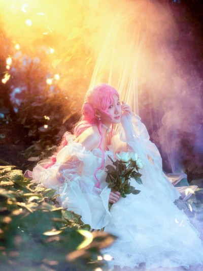 由菲cos [2]