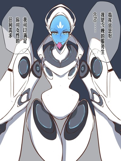 [leiji]守望先锋ECHO