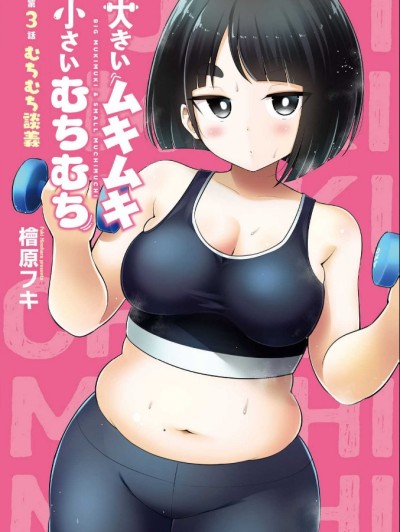 大硬筋與小肉肉 [綠茶漢化組] [檜原フキ] 大きいムキムキ小さいむちむち