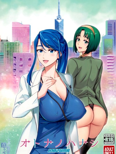 [真不可视汉化组] (C103) [Digital Accel Works (INAZUMA)] オトナノハナシ (キボウノチカラ〜オトナプリキュア'23〜) 