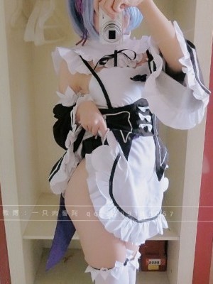 [一隻肉醬阿]蕾姆