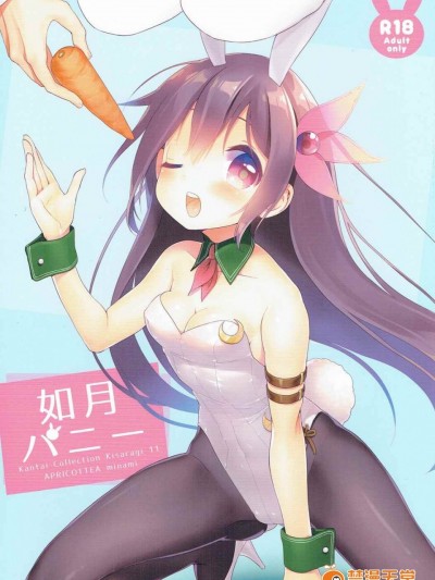 [APRICOTTEA (みなみ)] 如月バニー (艦隊これくしょん -艦これ-)