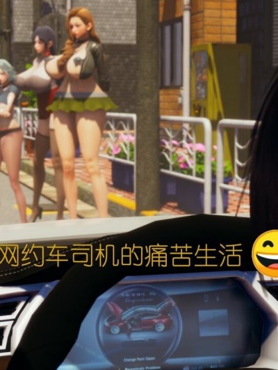 [叶子农] 网约车司机的痛苦生活