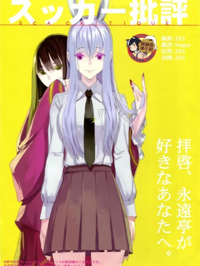 [臭鼬娘漢化組] (例大祭9) [偽製pucco (薄)] スッカー批評 (東方Project) [中国翻訳]