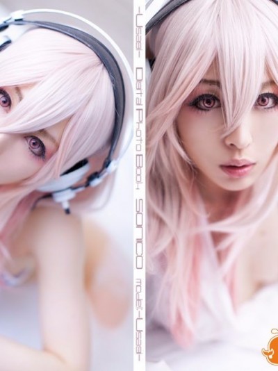 Digital photo book – SONICO