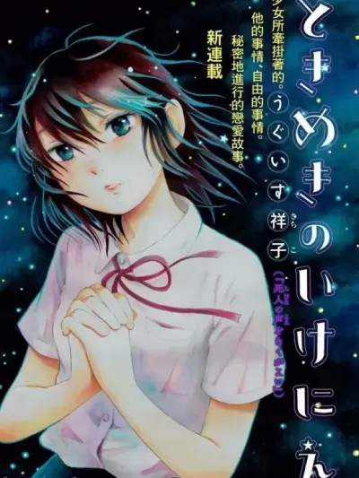 心跳的祭品 [ ひよどり祥子(うぐいす祥子)] 面對自己所思念之人的告白，斷然拒絕的少女，她背後所隱藏著的緣由是……