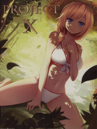 PROJECT X WARSHIP GIRLS FANBOOK