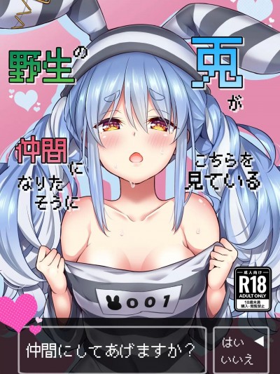 (C102) [ハチノコP (ハチゴ)] 野生の兎が仲間になりたそうにこちらを見ている (兎田ぺこら) [DL版]