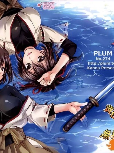 [PLUM (かん奈)] 掌中の羽 (艦隊これくしょん -艦これ-) [無毒漢化組]