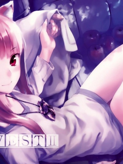 (C83) [アジサイデンデン (川上六角, 狐月レイ)] Harvest II (狼と香辛料) [空気系☆漢化]
