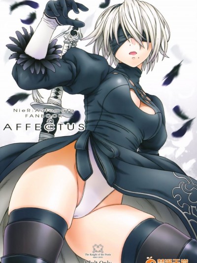 [final個人漢化] (C92) [パンツ騎士団 (辻武司)] AFFECTUS (NieR:Automata)