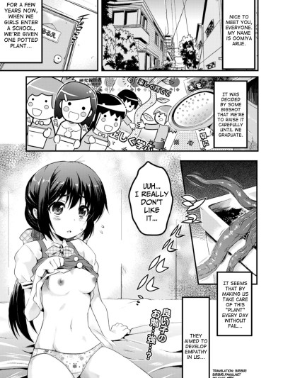 Hajimete no Saibai