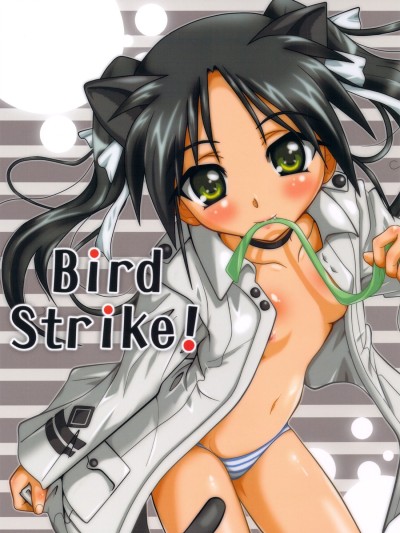 Bird Strike!