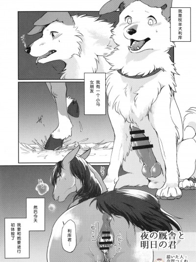 [迷い貓(奈賀つくね)][夜の廄舎と明日の君(MARE HOLIC5 ケモラヴァEX)](MARE HOLIC)